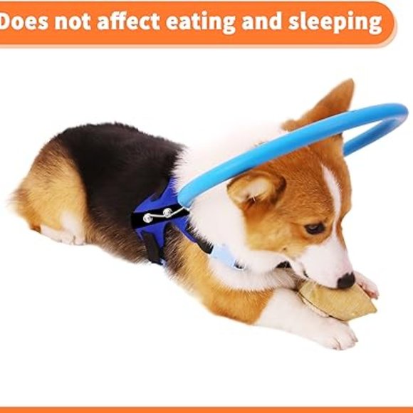 Halo Dog Safety Bumper Harness Blind Deaf Senior Hospice Pet Love Care Walk Pug - Picture 4 of 8